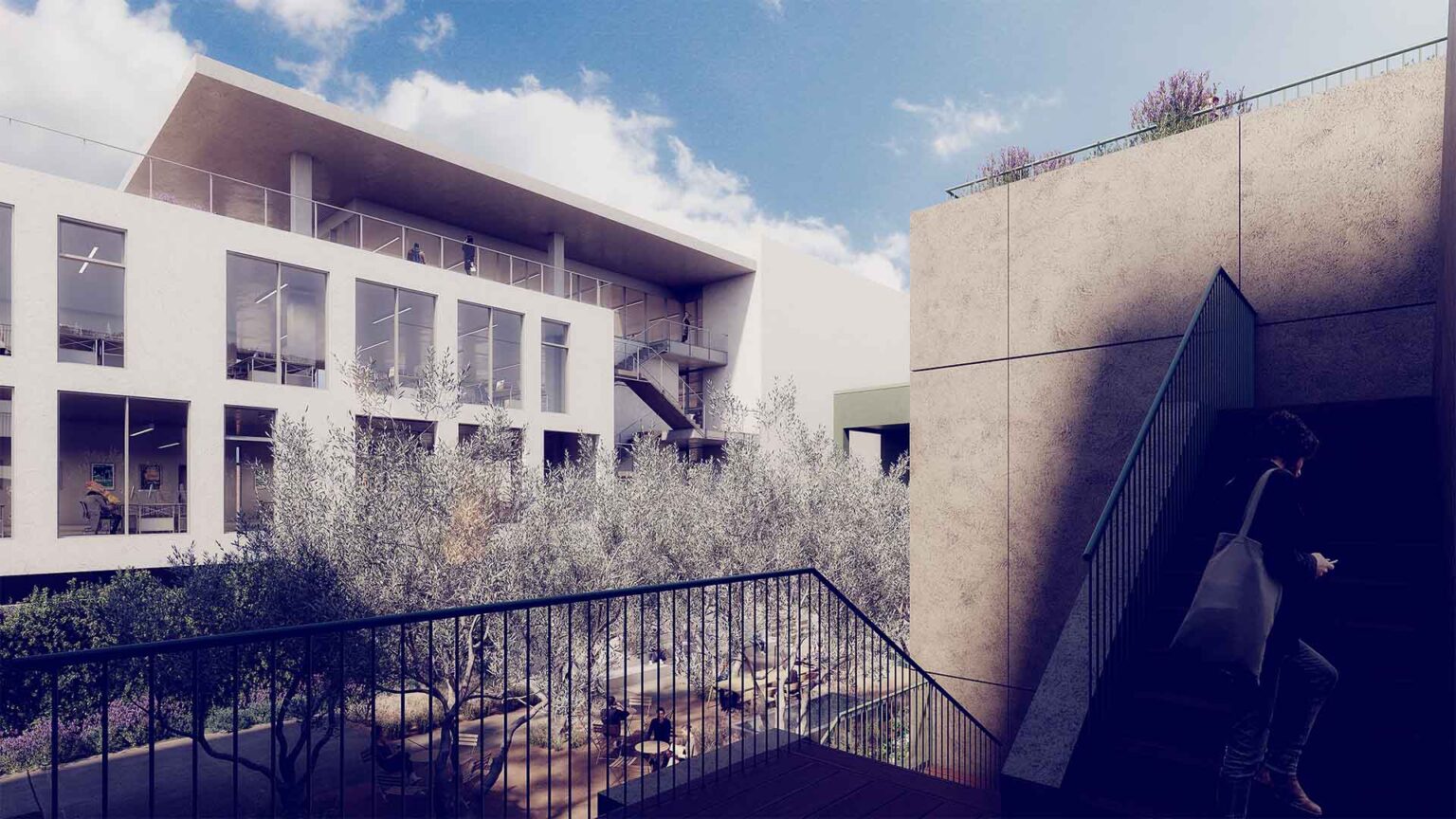 Stairway connection from olive grove to upper levels.