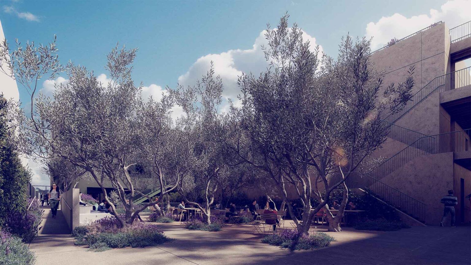 Central olive grove offering quiet shade and outdoor workspace.