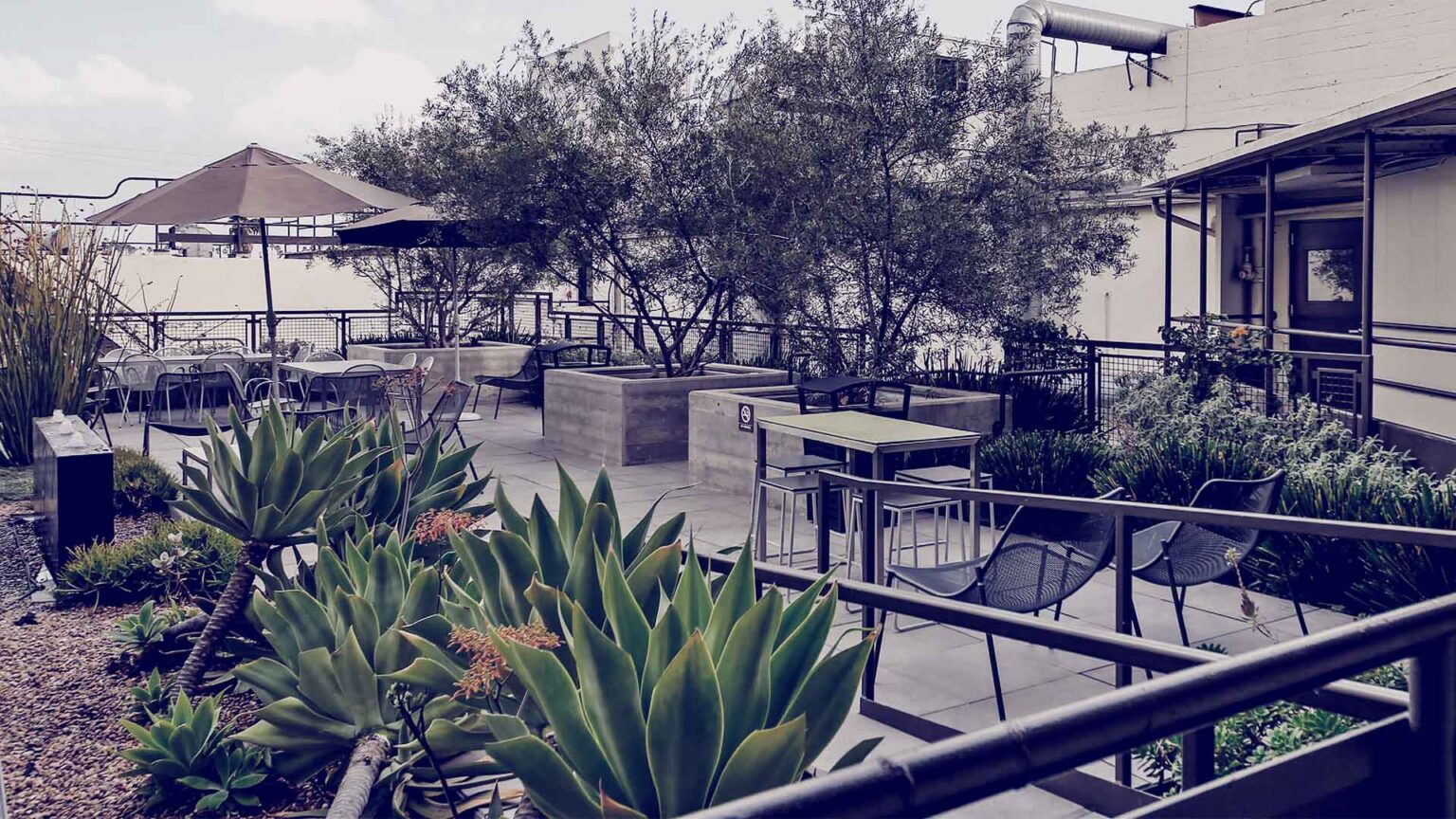 Landscaped terraces and seating offer moments of calm in the heart of Hollywood.